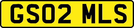 GS02MLS