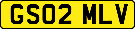 GS02MLV