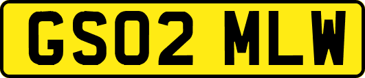GS02MLW