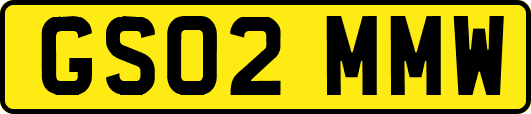 GS02MMW