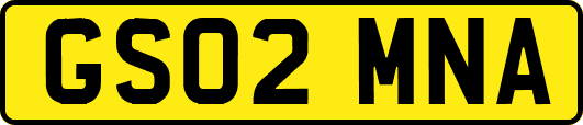 GS02MNA