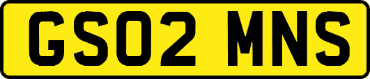 GS02MNS