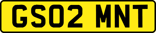 GS02MNT