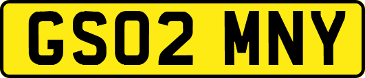 GS02MNY