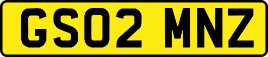 GS02MNZ