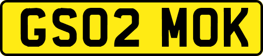 GS02MOK