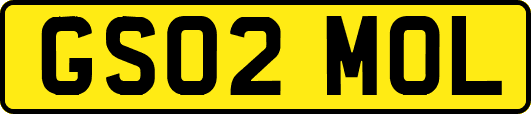 GS02MOL