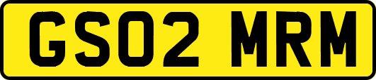 GS02MRM
