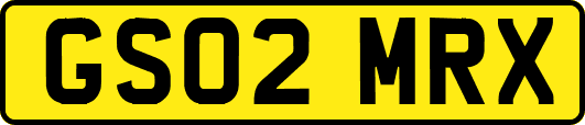 GS02MRX