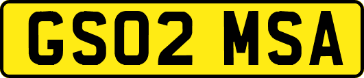 GS02MSA