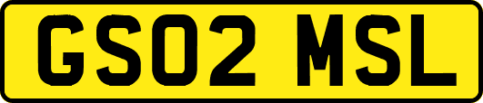 GS02MSL