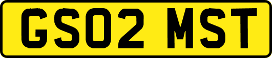 GS02MST