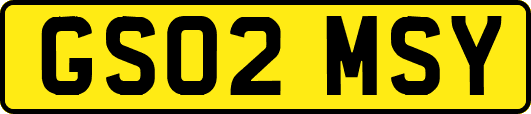 GS02MSY
