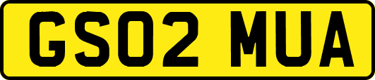 GS02MUA