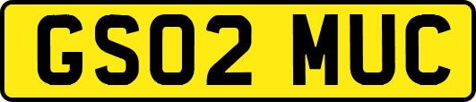 GS02MUC