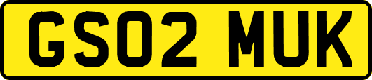 GS02MUK