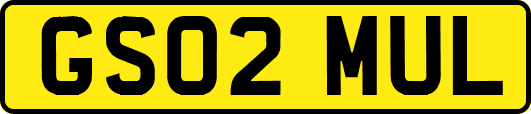 GS02MUL