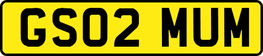 GS02MUM
