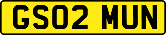 GS02MUN