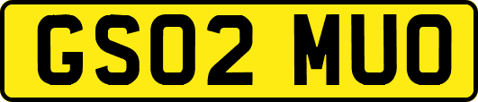 GS02MUO