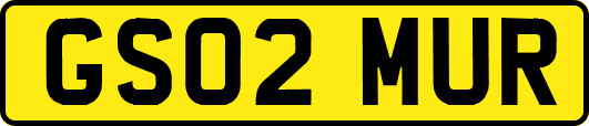 GS02MUR