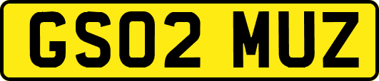 GS02MUZ