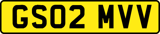 GS02MVV