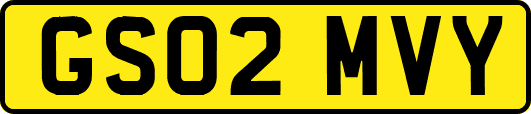 GS02MVY