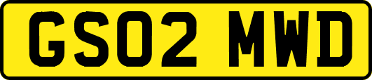 GS02MWD