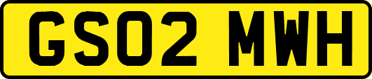GS02MWH