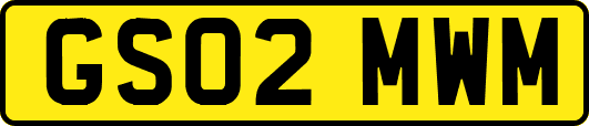 GS02MWM