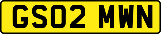GS02MWN