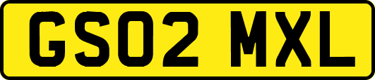 GS02MXL