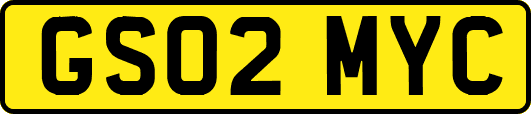 GS02MYC
