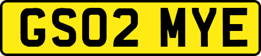 GS02MYE