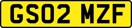 GS02MZF