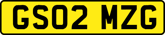 GS02MZG