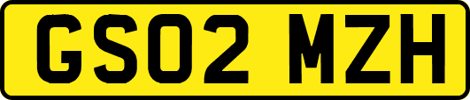 GS02MZH