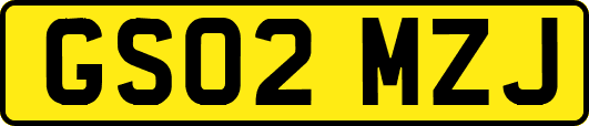 GS02MZJ