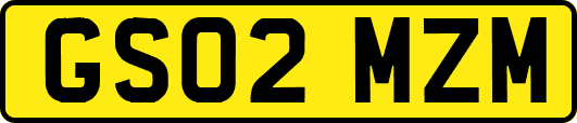 GS02MZM
