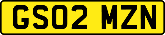 GS02MZN