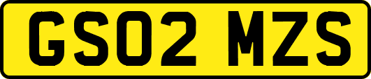 GS02MZS