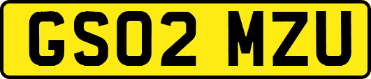 GS02MZU