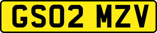 GS02MZV