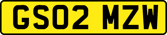 GS02MZW