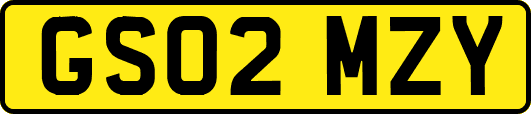 GS02MZY