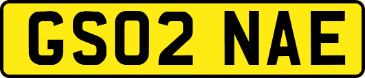 GS02NAE