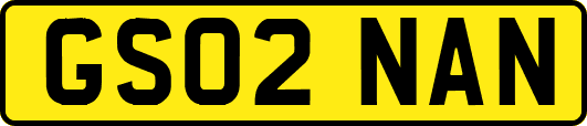 GS02NAN