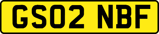 GS02NBF