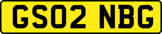 GS02NBG